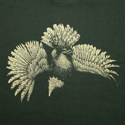 画像1: イーグル プライド サンプルTシャツ - ディープ フォレスト エメラルドグリーン