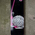 画像1: Familia Skateboard - Brain Wreck (1)