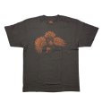 画像1: イーグル プライド サンプルTシャツ - チャコール (1)