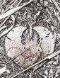 画像6: デトライタス JP (残骸)  (6)