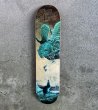 画像1: Santa Cruz Skateboards - Stacey Lowery (オリジナル) (1)