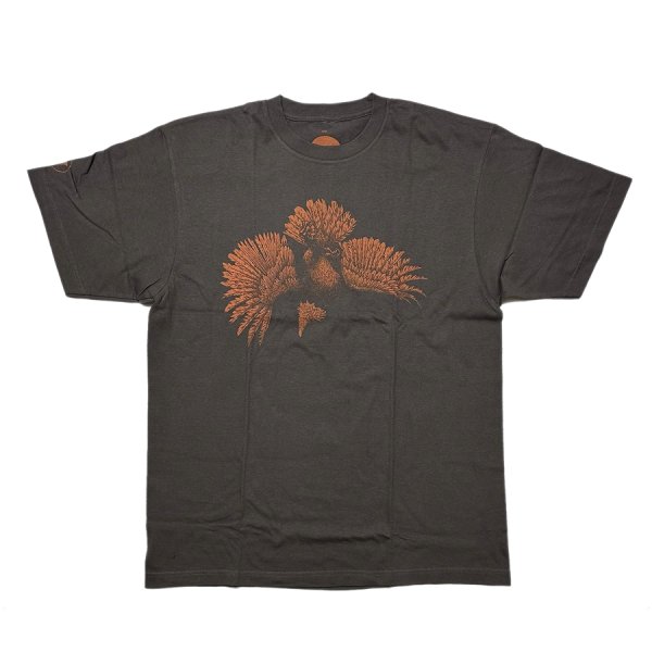 画像1: イーグル プライド サンプルTシャツ - チャコール (1)